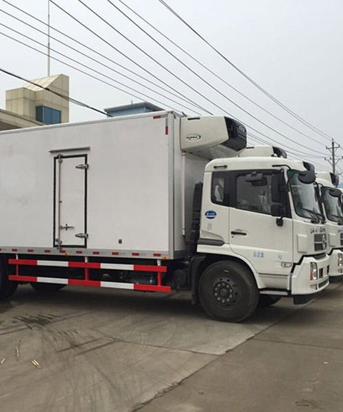 上海至南昌冷鏈物流專線 專業(yè)冷藏運輸公司的服務解析與選擇指南